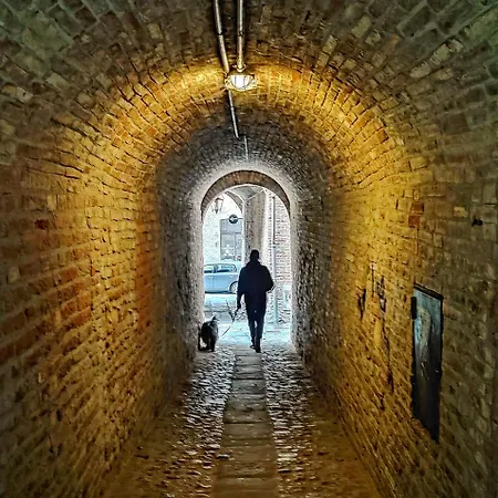 Apartment Il Loft Di Pieve *